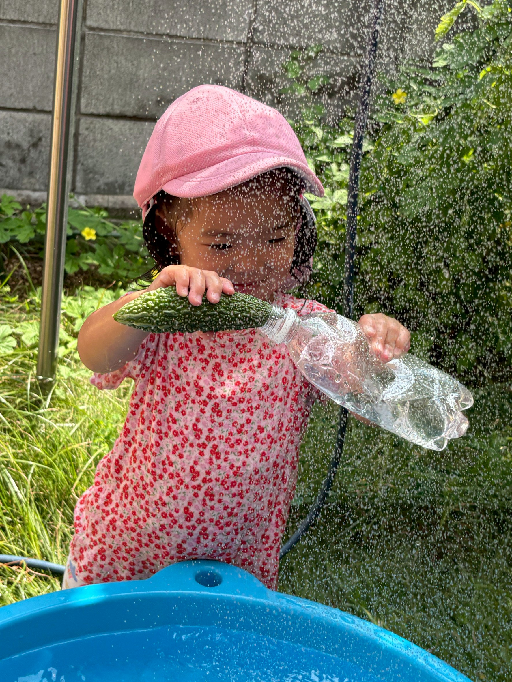 2歳児クラスのお写真