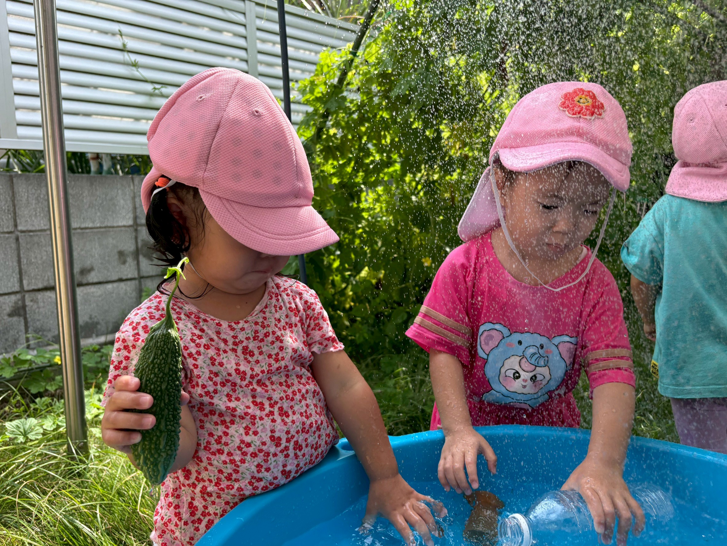 2歳児クラスのお写真