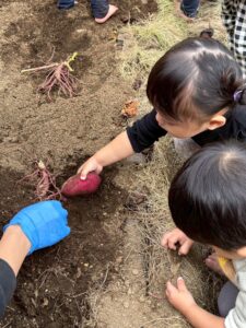 1歳児クラスのお写真